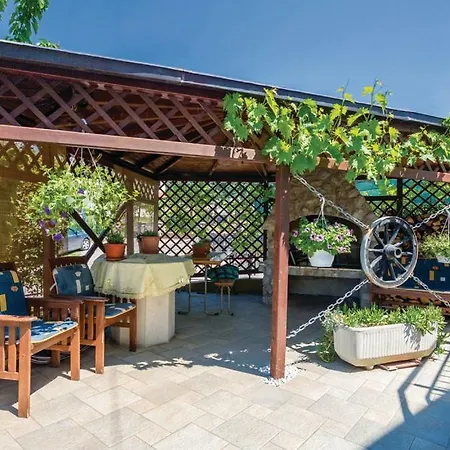 Diogenes مالينسكا